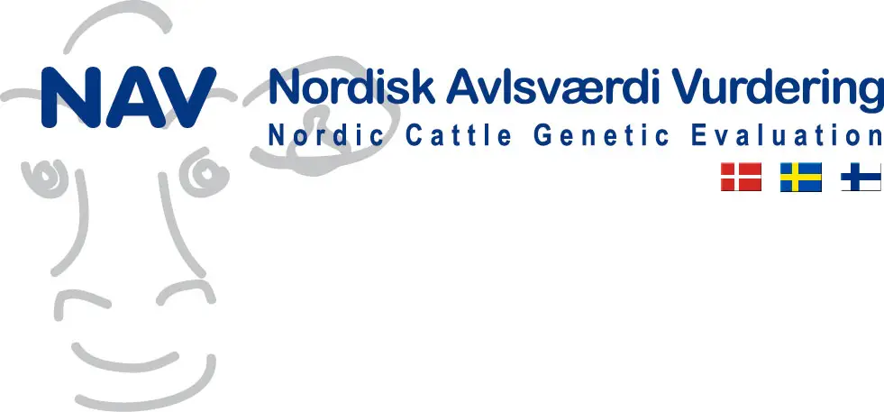 Logo NAV