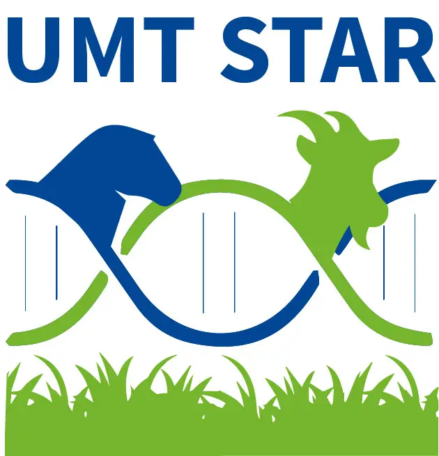 Logo UMT STAR