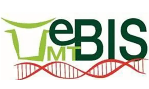 Logo UMT eBIS